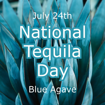 Salud! Celebrating National Tequila Day on July 24th