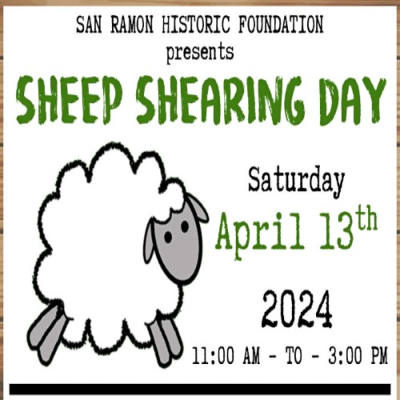 Sheep Shearing Day