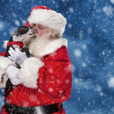 Santa Paws is coming to Joybound!